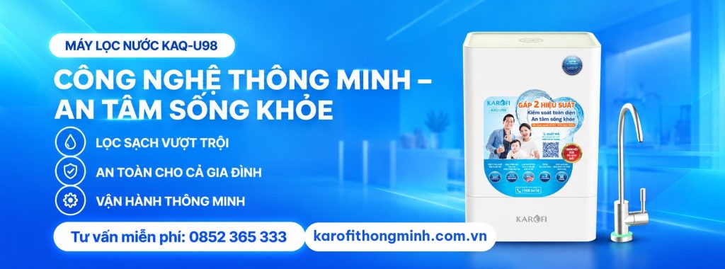 Máy lọc nước Karofi KAQ-U98